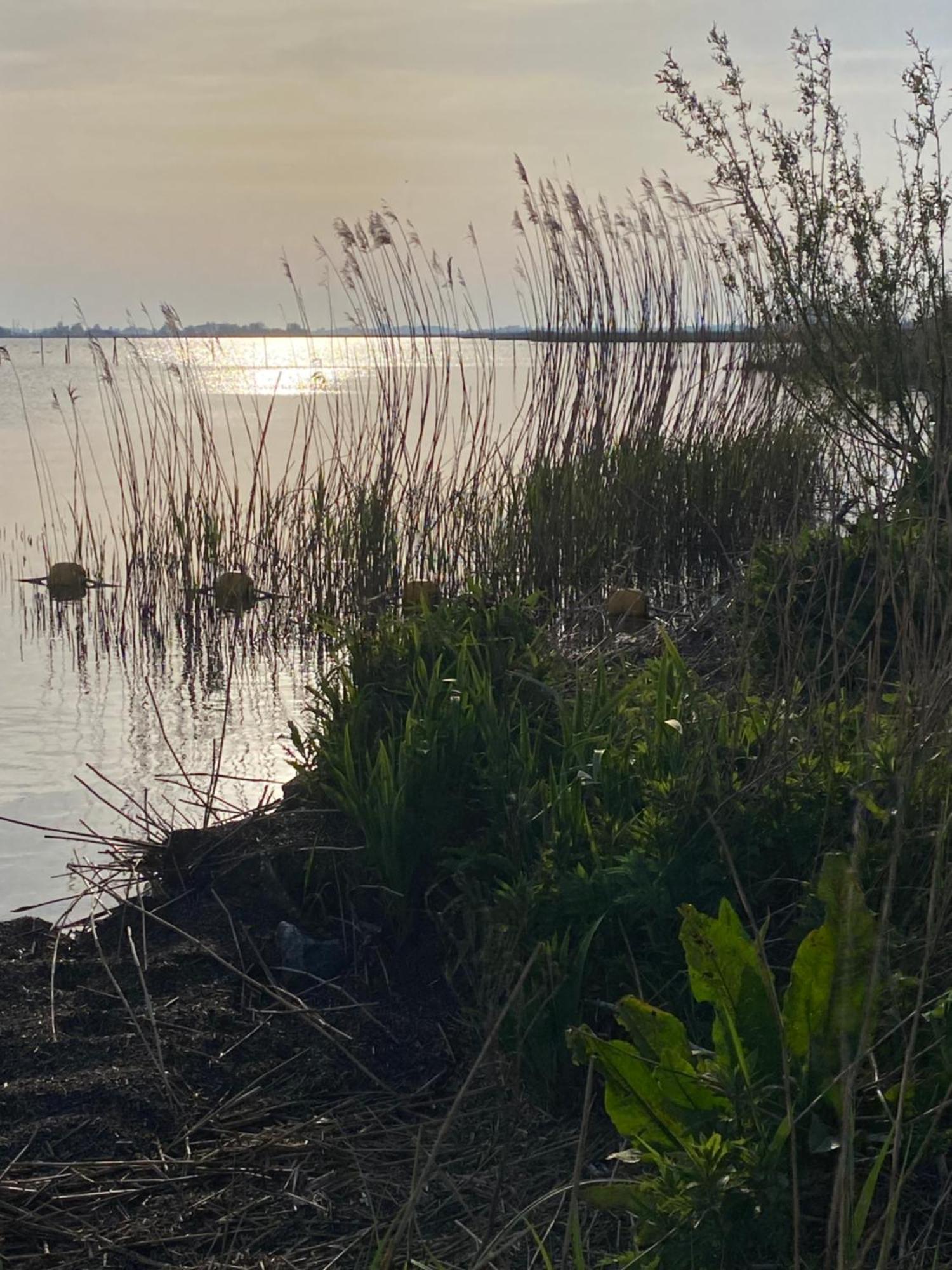 Tussen De Meren Gaastmeer Esterno foto